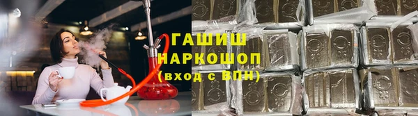 СК Белокуриха