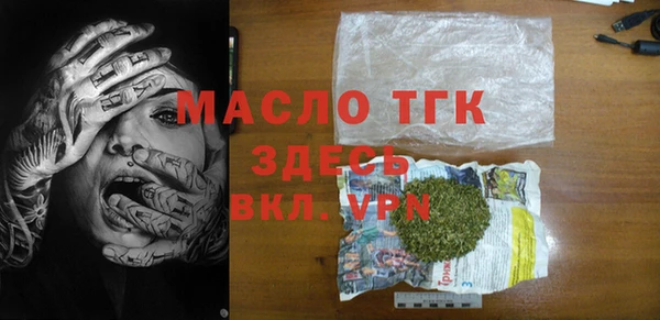 гидра Богородицк