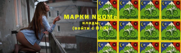 СК Белокуриха