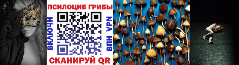 Псилоцибиновые грибы Psilocybine cubensis  продажа наркотиков  Горячий Ключ 